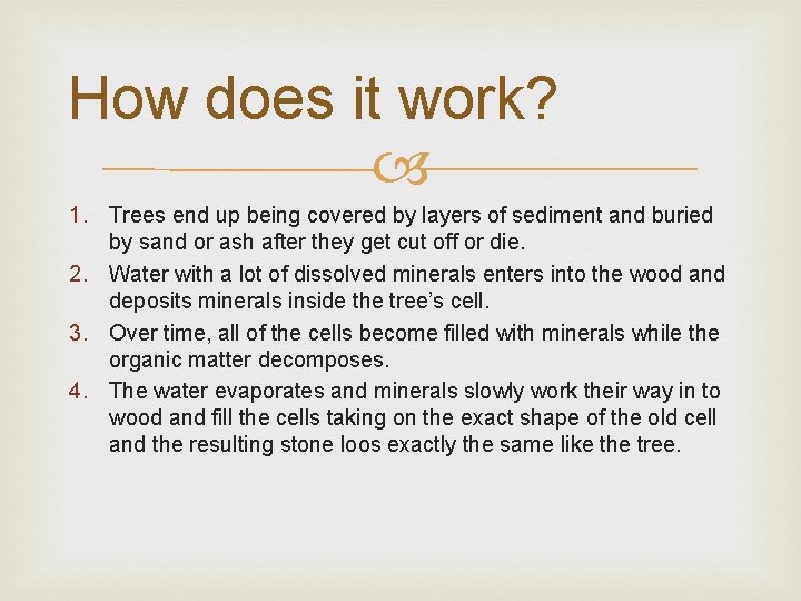 How does it work? 1. Trees end up being covered by layers of sediment