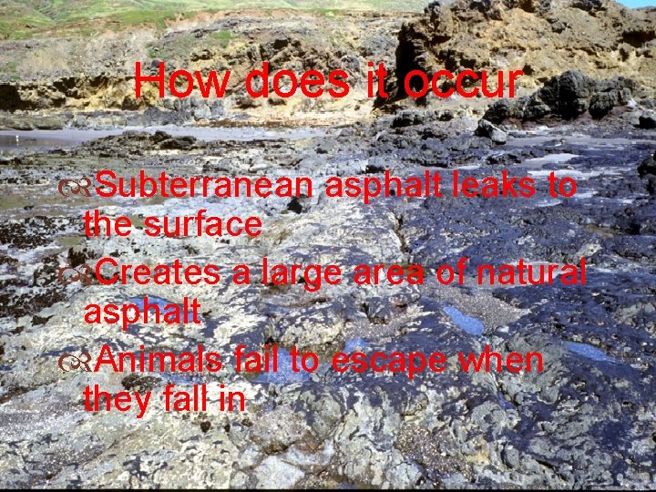 How does it occur Subterranean asphalt leaks to the surface Creates a large area
