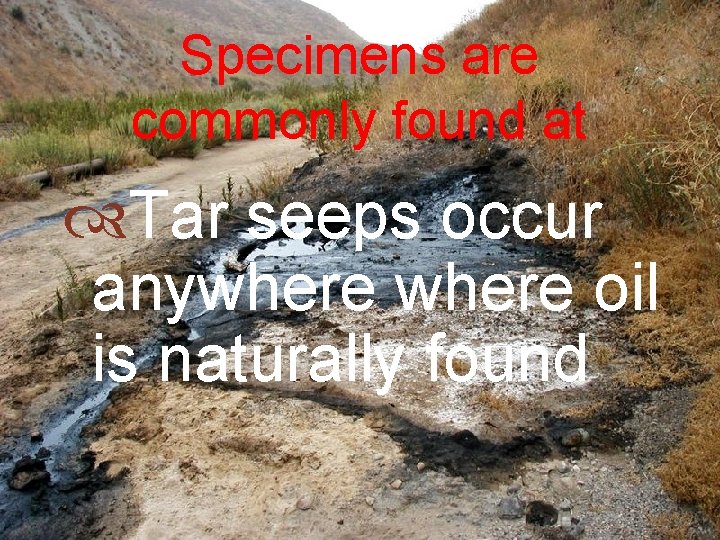 Specimens are commonly found at Tar seeps occur anywhere oil is naturally found 