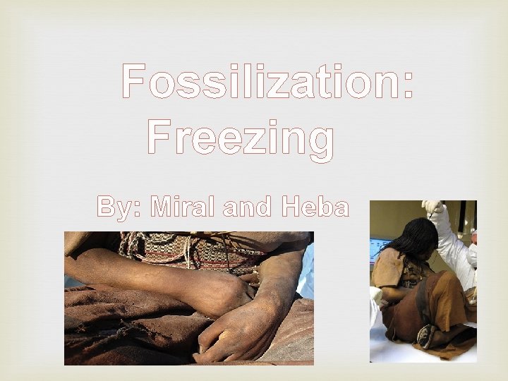 Fossilization: Freezing By: Miral and Heba 