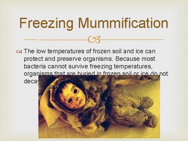 Freezing Mummification The low temperatures of frozen soil and ice can protect and preserve