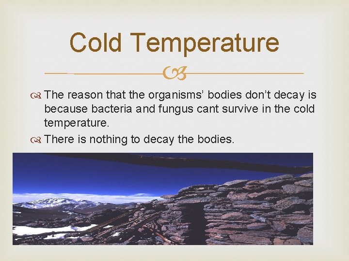 Cold Temperature The reason that the organisms’ bodies don’t decay is because bacteria and