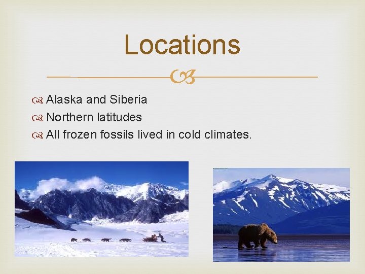 Locations Alaska and Siberia Northern latitudes All frozen fossils lived in cold climates. 