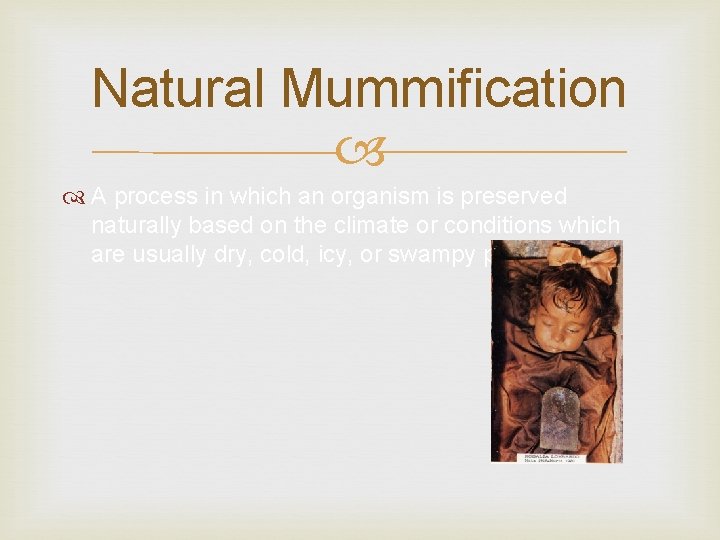 Natural Mummification A process in which an organism is preserved naturally based on the