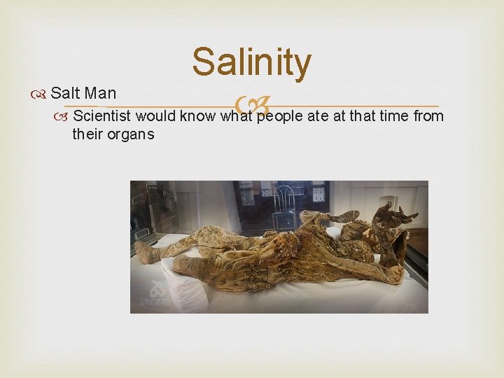 Salinity Salt Man people at that time from Scientist would know what their organs