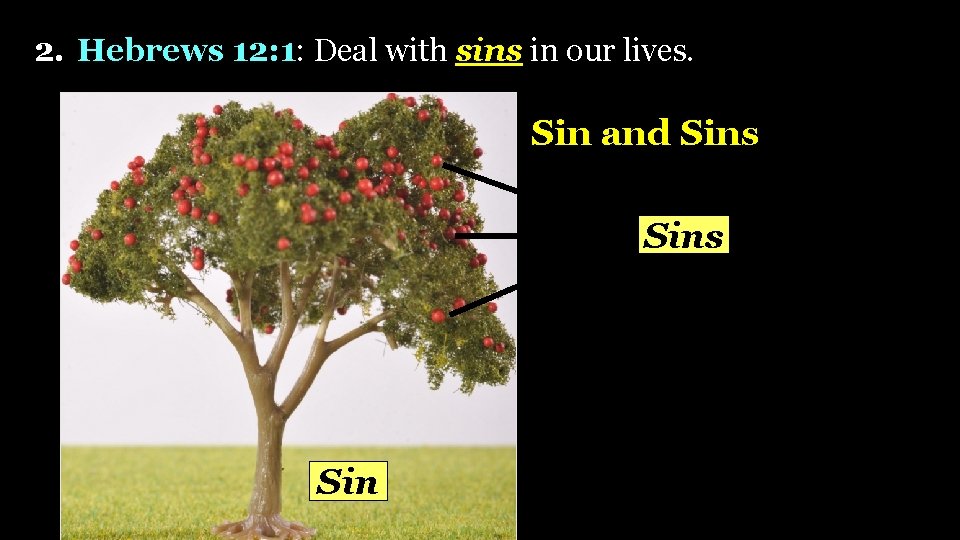 2. Hebrews 12: 1: Deal with sins in our lives. Sin and Sins Sin