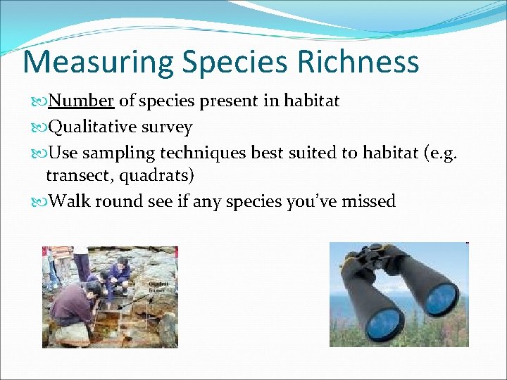 Measuring Species Richness Number of species present in habitat Qualitative survey Use sampling techniques