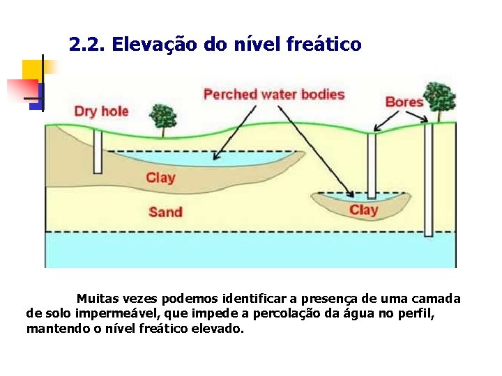 2. 2. Elevação do nível freático Muitas vezes podemos identificar a presença de uma