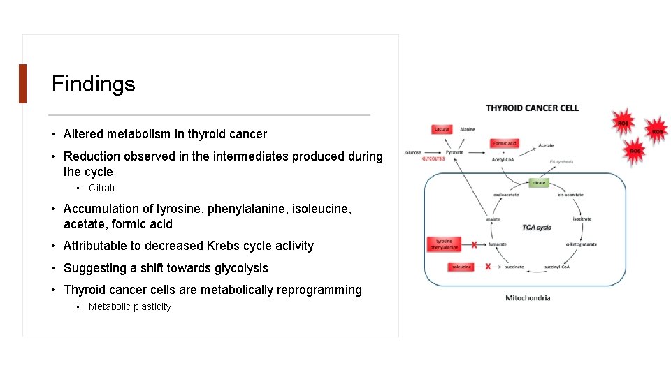 Findings • Altered metabolism in thyroid cancer • Reduction observed in the intermediates produced