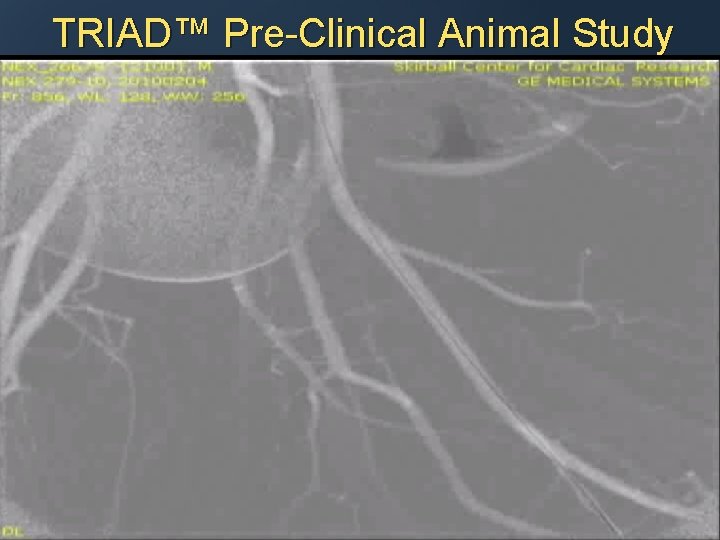 TRIAD™ Pre-Clinical Animal Study 