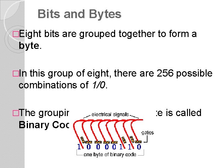 Bits and Bytes �Eight bits are grouped together to form a byte. �In this