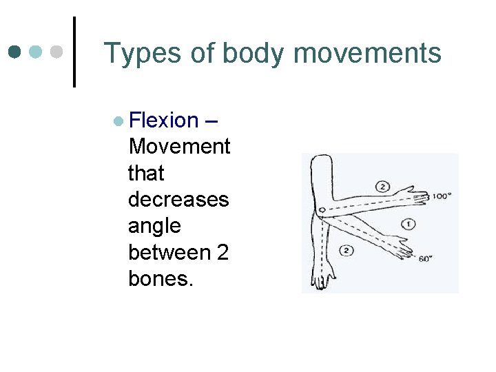 Types of body movements l Flexion – Movement that decreases angle between 2 bones.