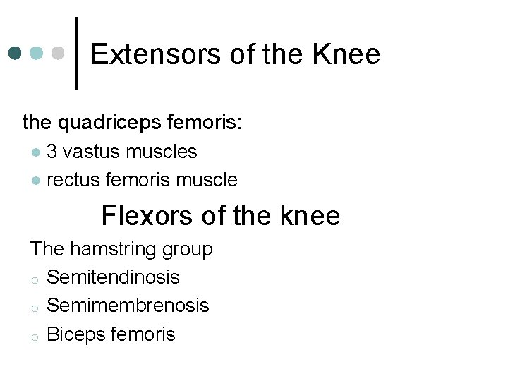Extensors of the Knee the quadriceps femoris: 3 vastus muscles l rectus femoris muscle