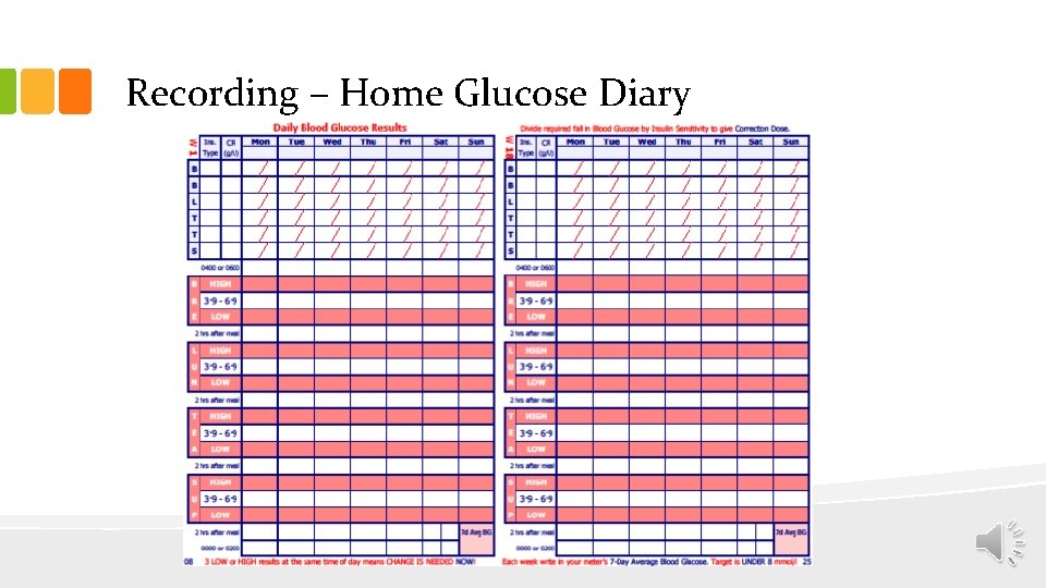 Recording – Home Glucose Diary 