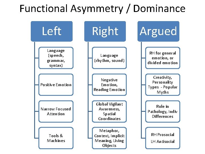 Functional Asymmetry / Dominance Left Right Argued Language (speech, grammar, syntax) Language (rhythm, sound)
