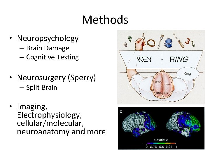 Methods • Neuropsychology – Brain Damage – Cognitive Testing • Neurosurgery (Sperry) – Split