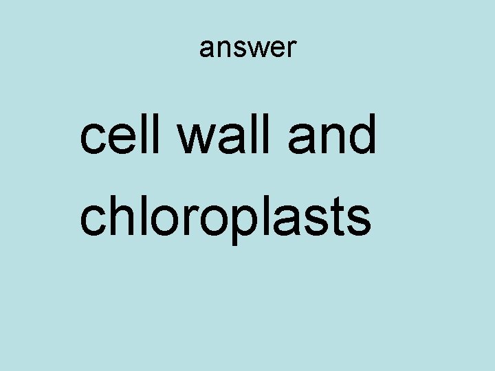 answer cell wall and chloroplasts 