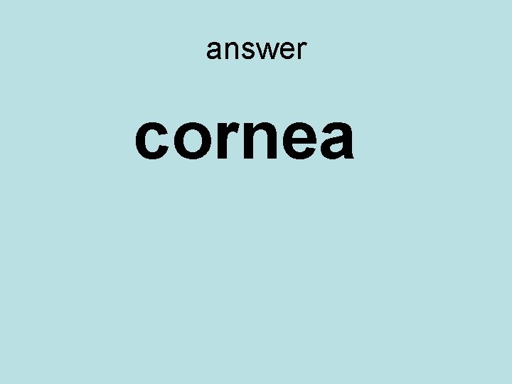 answer cornea 