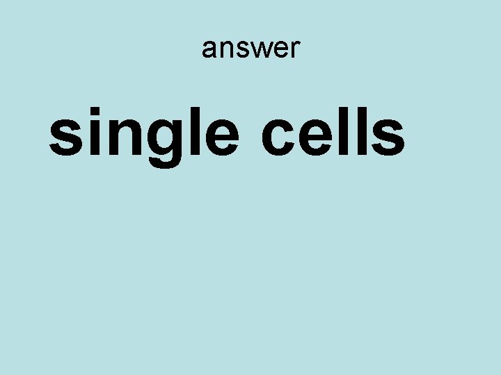 answer single cells 