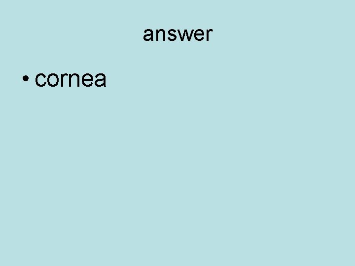 answer • cornea 