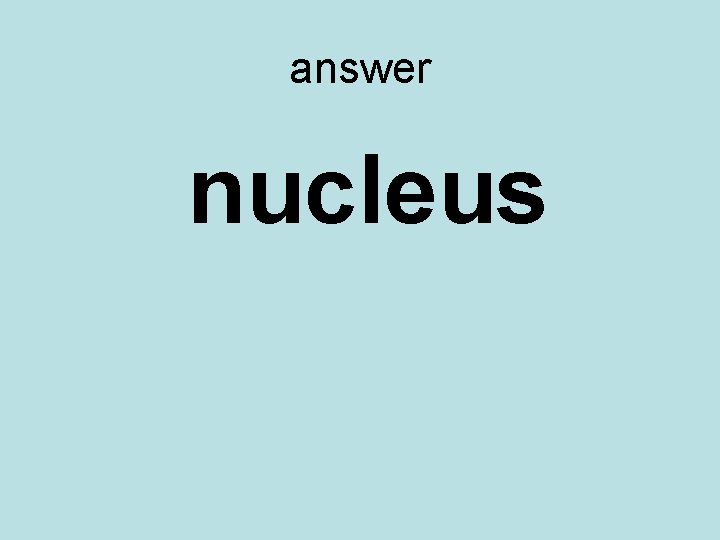 answer nucleus 