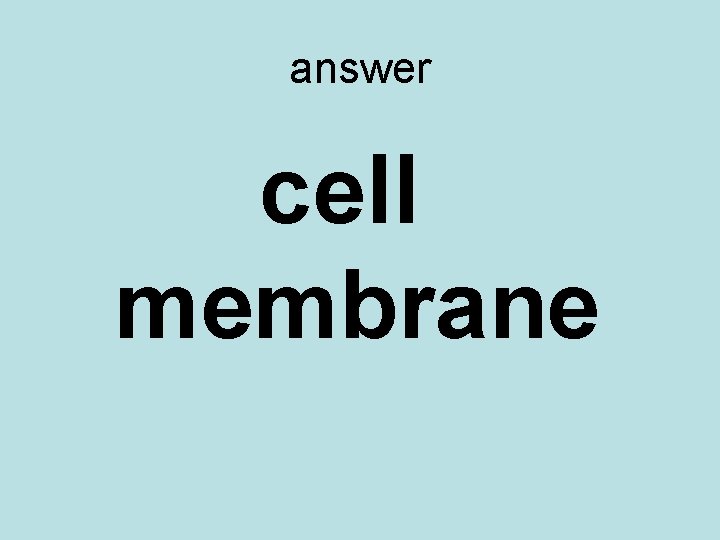 answer cell membrane 