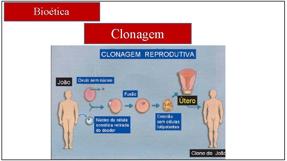 Bioética Clonagem 