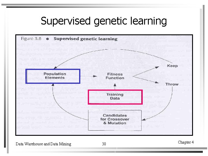 Supervised genetic learning Data Warehouse and Data Mining 30 Chapter 4 Supervised genetic learning Data Warehouse and Data Mining 30 Chapter 4