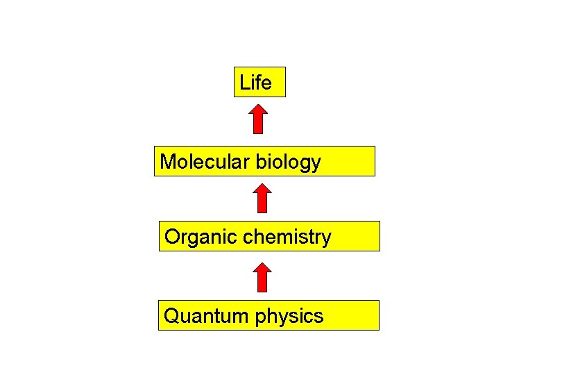 Life Molecular biology Organic chemistry Quantum physics 