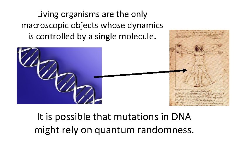 Living organisms are the only macroscopic objects whose dynamics is controlled by a single