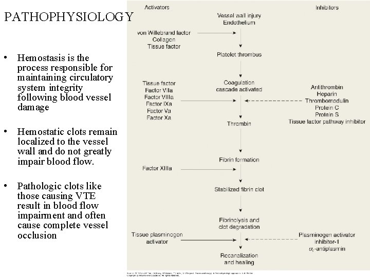 PATHOPHYSIOLOGY • Hemostasis is the process responsible for maintaining circulatory system integrity following blood