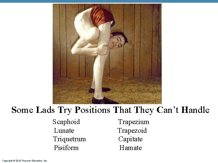 Some Lads Try Positions That They Can’t Handle Scaphoid Lunate Triquetrum Pisiform Copyright ©