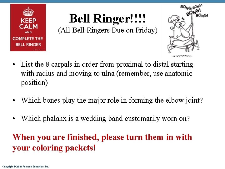 Bell Ringer!!!! (All Bell Ringers Due on Friday) • List the 8 carpals in