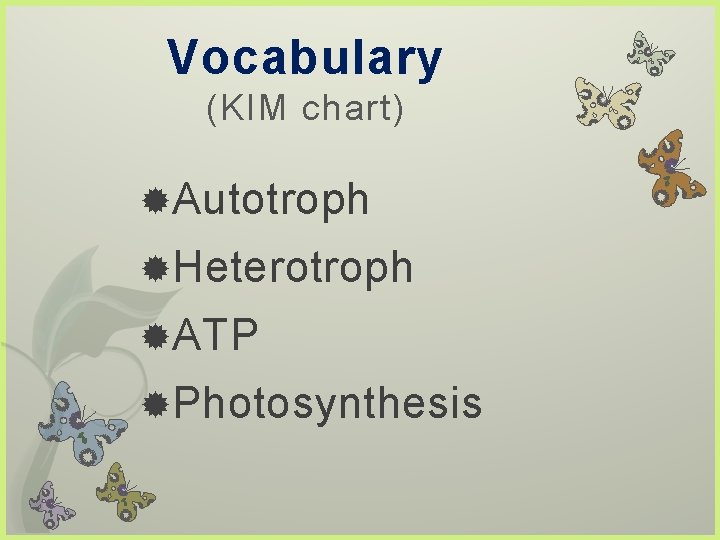 Vocabulary (KIM chart) Autotroph Heterotroph ATP Photosynthesis 
