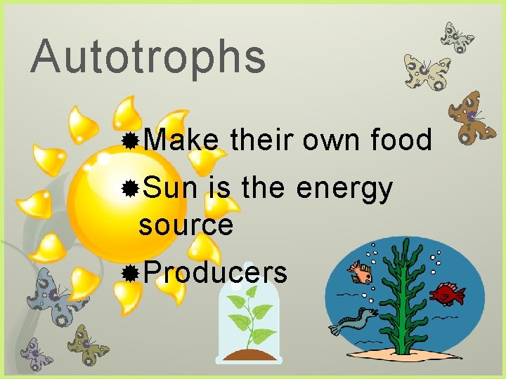 Autotrophs Make their own food Sun is the energy source Producers 