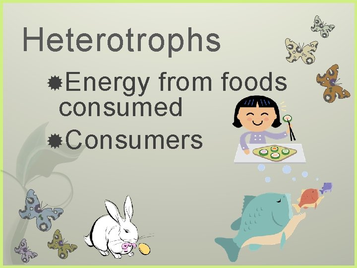 Heterotrophs Energy from foods consumed Consumers 
