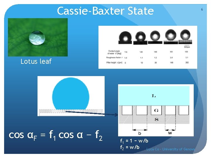 Cassie-Baxter State Lotus leaf cos αF = f 1 cos α − f 2