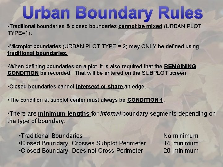 Urban Boundary Rules • Traditional boundaries & closed boundaries cannot be mixed (URBAN PLOT