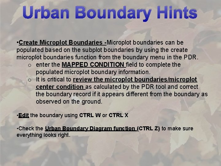 Urban Boundary Hints • Create Microplot Boundaries -Microplot boundaries can be populated based on