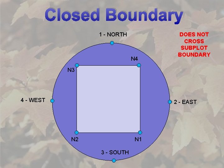 Closed Boundary 1 - NORTH N 4 DOES NOT CROSS SUBPLOT BOUNDARY N 3