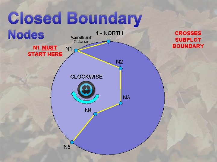 Closed Boundary Nodes Azimuth and Distance 1 - NORTH CROSSES SUBPLOT BOUNDARY N 1