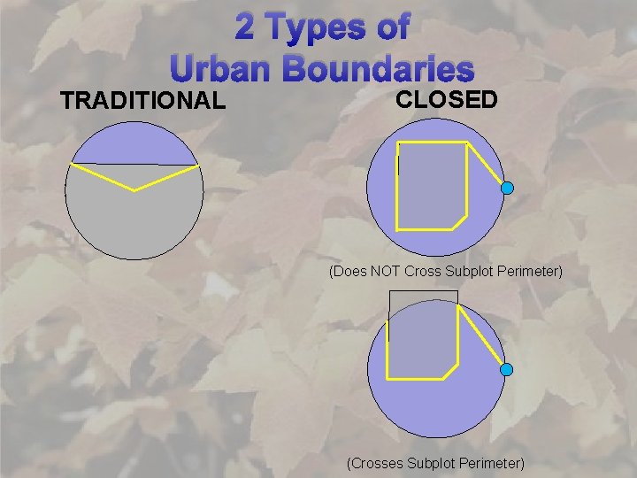 2 Types of Urban Boundaries TRADITIONAL CLOSED (Does NOT Cross Subplot Perimeter) (Crosses Subplot