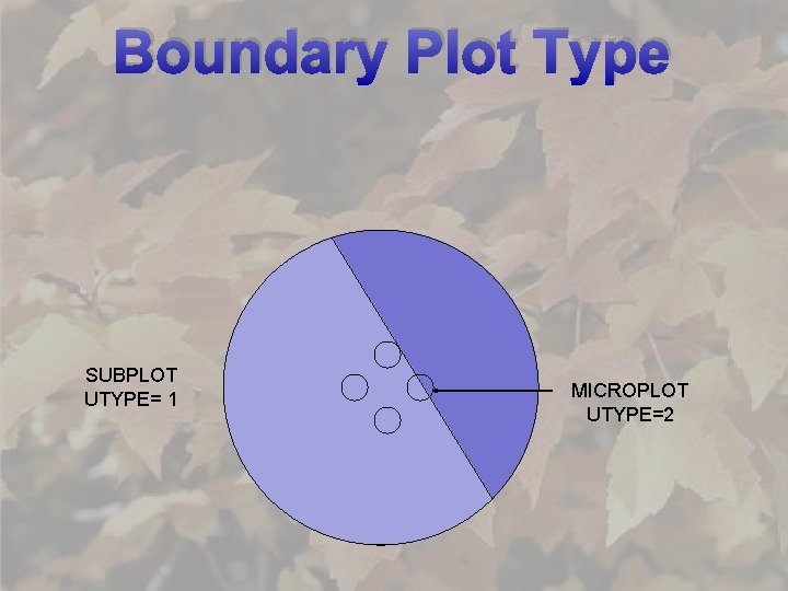 Boundary Plot Type SUBPLOT UTYPE= 1 MICROPLOT UTYPE=2 