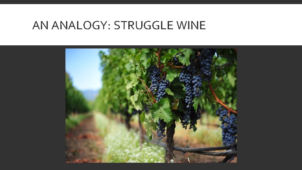 AN ANALOGY: STRUGGLE WINE 