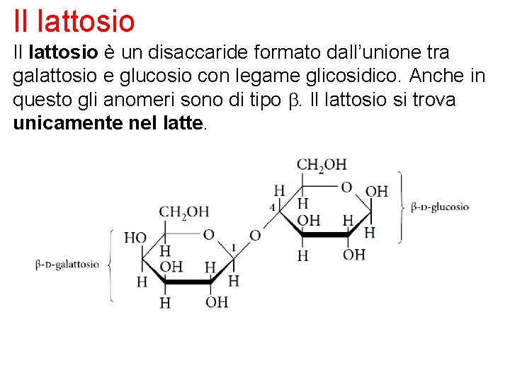 Il lattosio è un disaccaride formato dall’unione tra galattosio e glucosio con legame glicosidico.