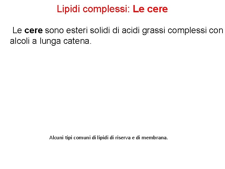 Lipidi complessi: Le cere sono esteri solidi di acidi grassi complessi con alcoli a