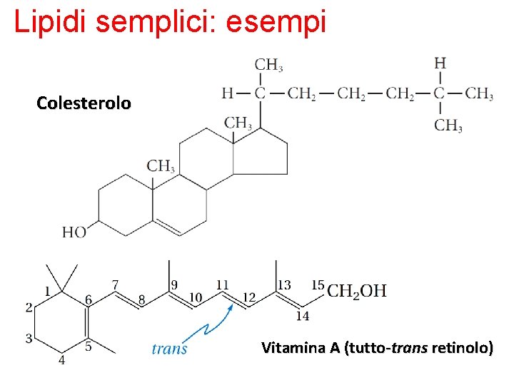 Lipidi semplici: esempi Colesterolo Vitamina A (tutto-trans retinolo) 