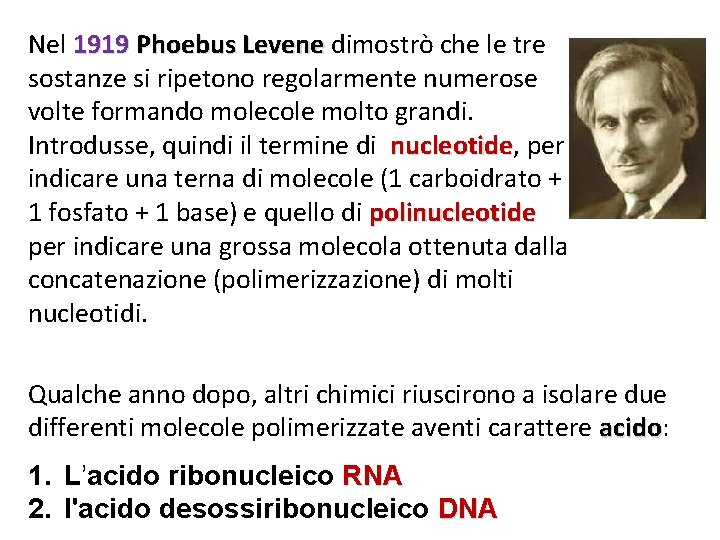 Nel 1919 Phoebus Levene dimostrò che le tre sostanze si ripetono regolarmente numerose volte