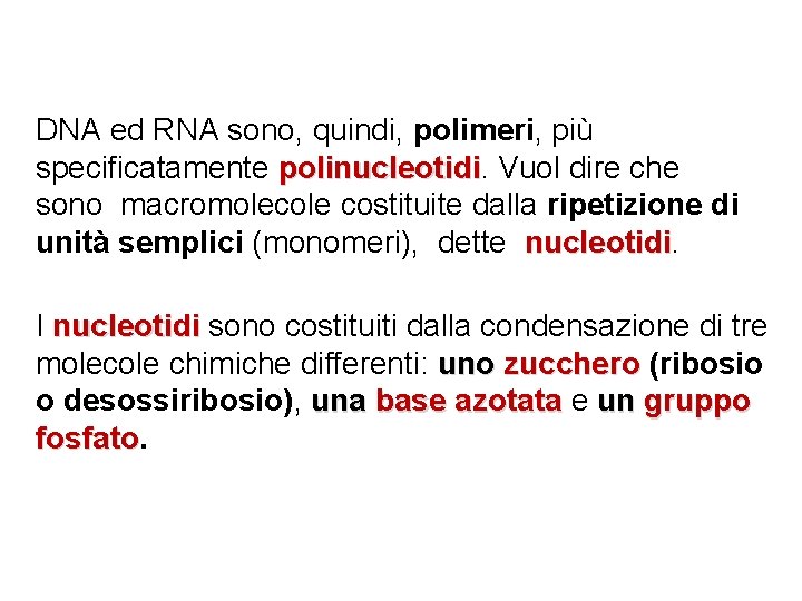 DNA ed RNA sono, quindi, polimeri, più specificatamente polinucleotidi Vuol dire che sono macromolecole