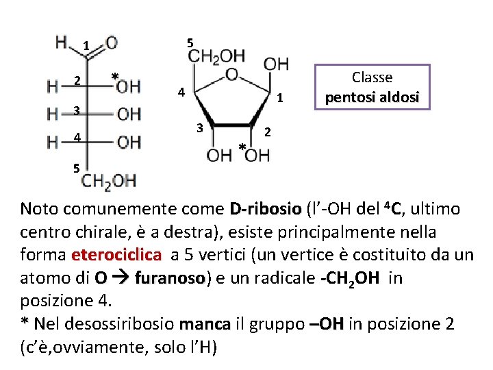 5 1 2 * 4 1 3 4 5 3 * Classe pentosi aldosi
